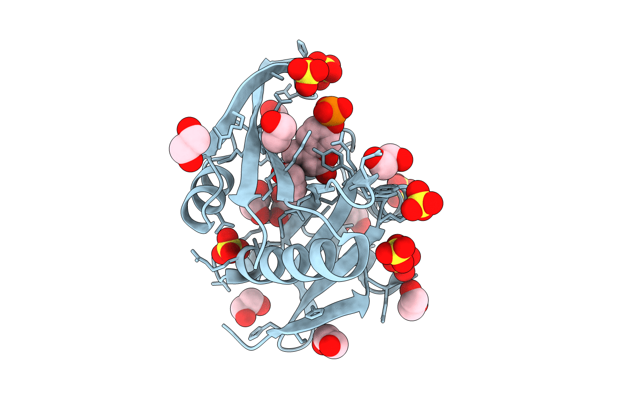 4KLV image