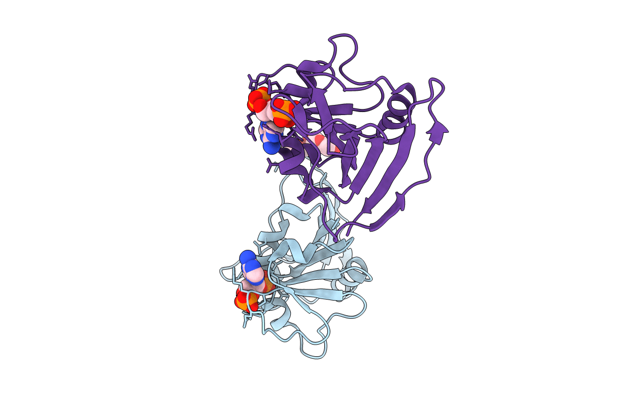 4KLX image