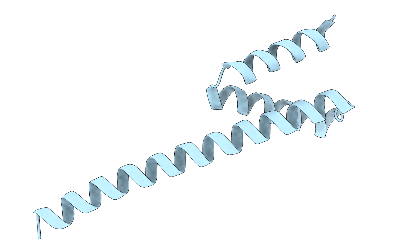4KMC image
