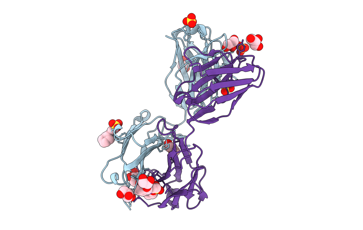 4KMT image