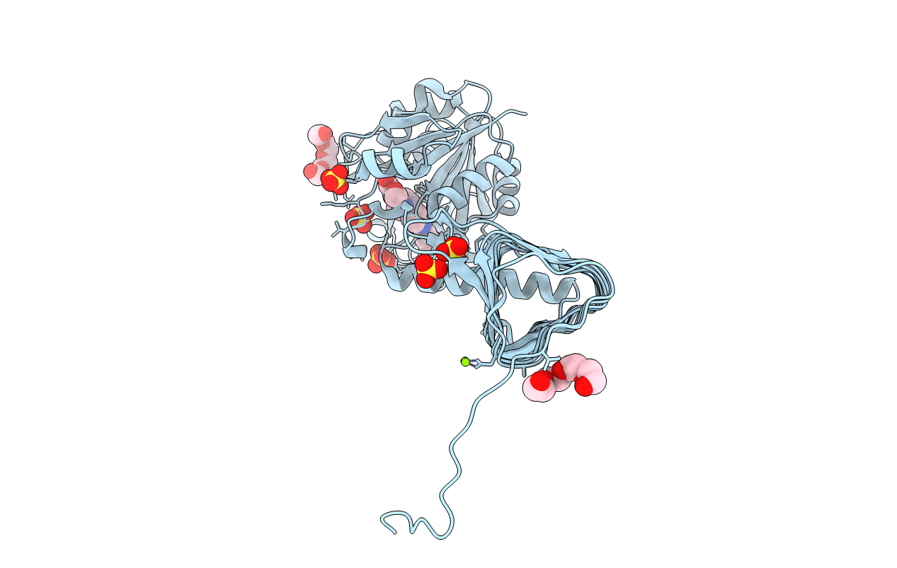 4KNR image