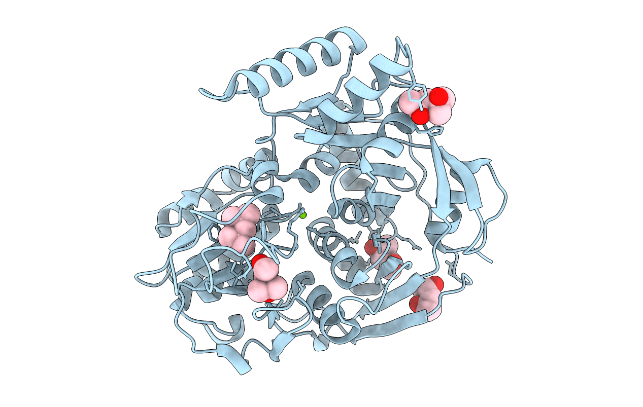 4kp1 image