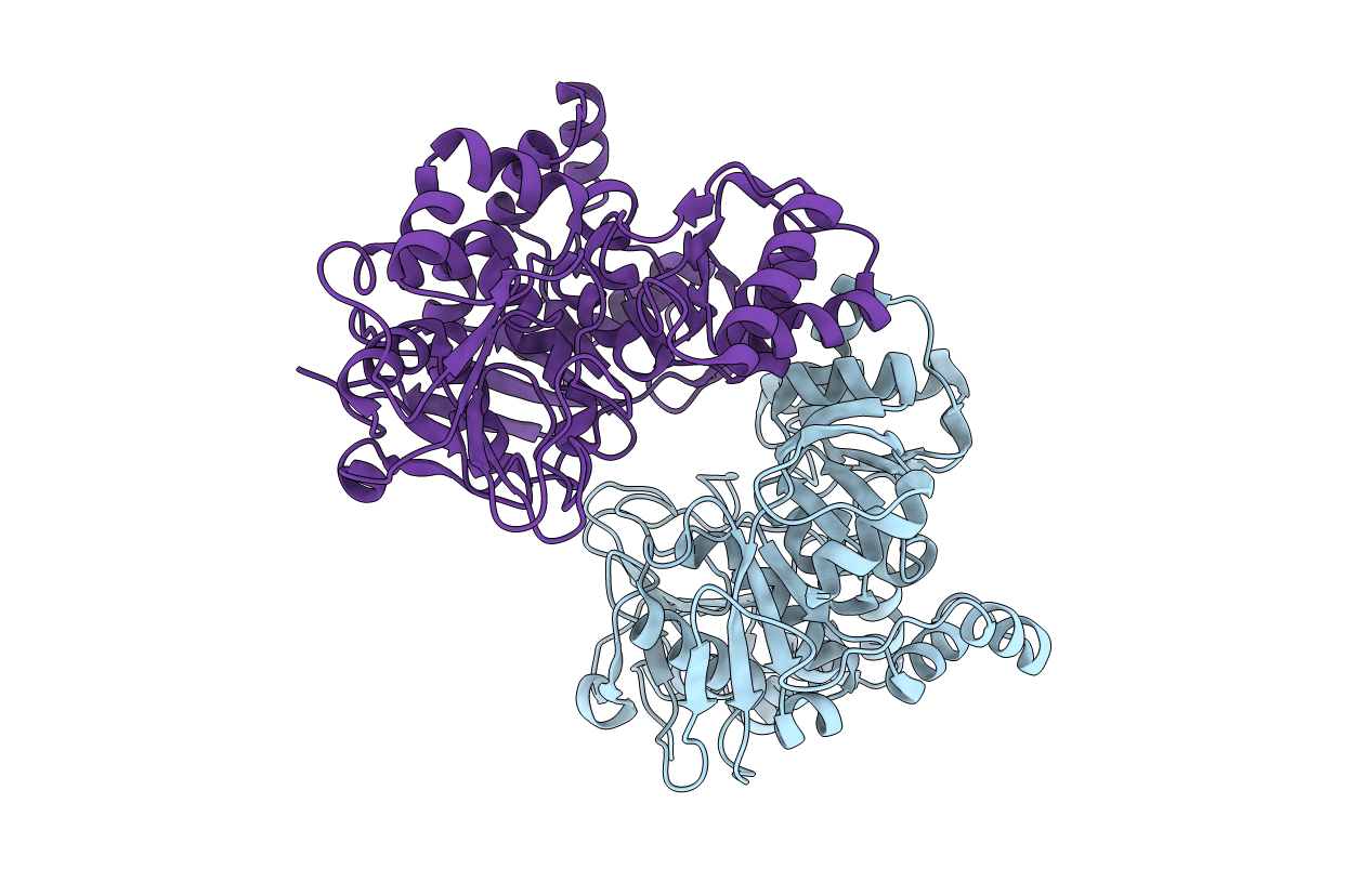 4KP2 image