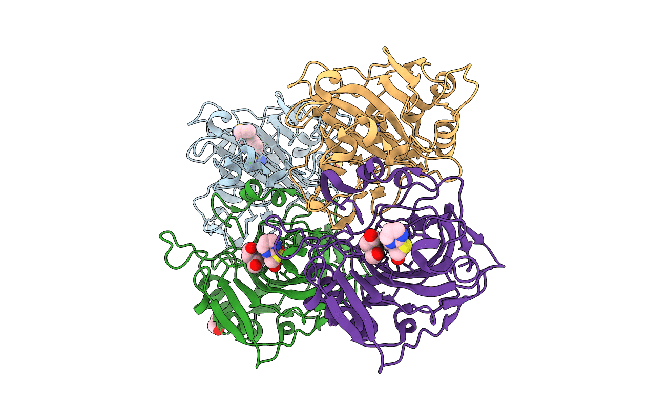 4KP8 image