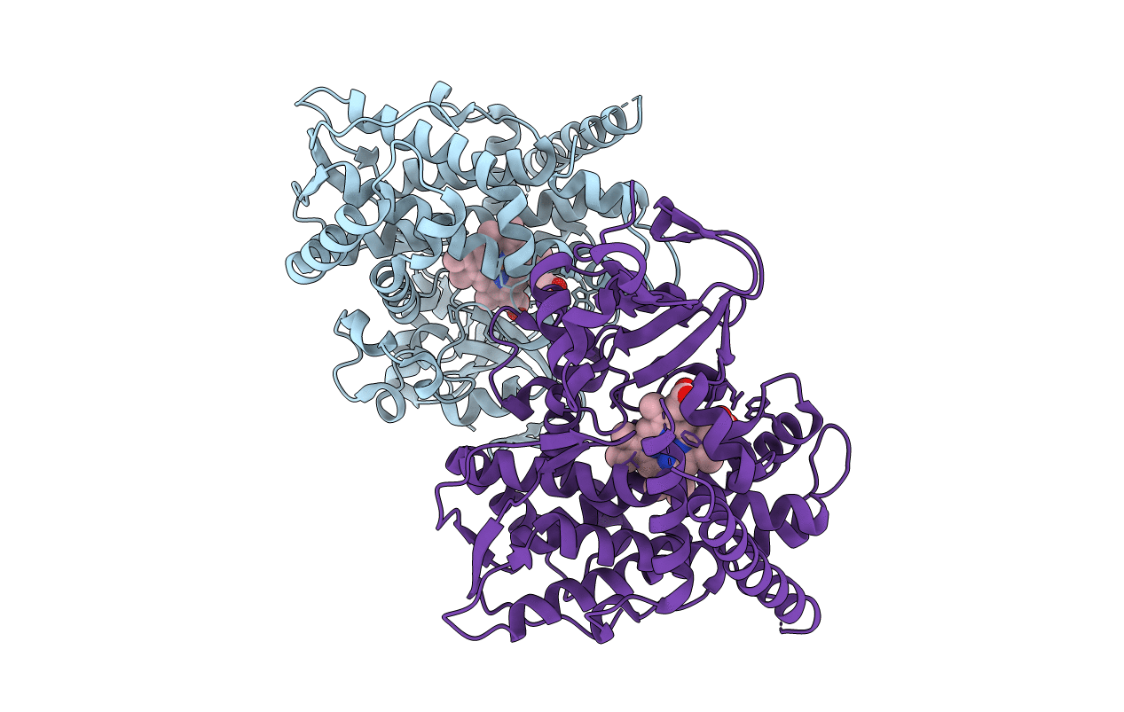 4KPB image