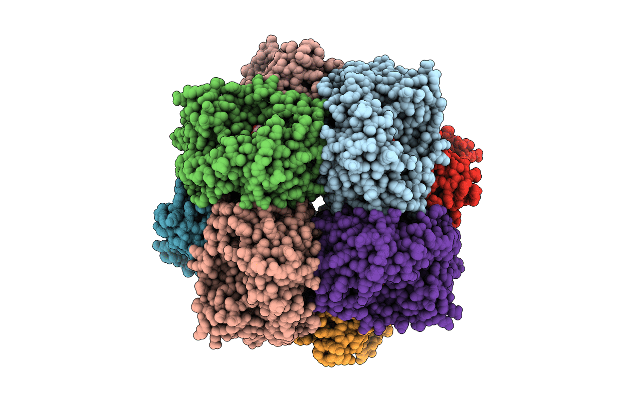 4KPL image
