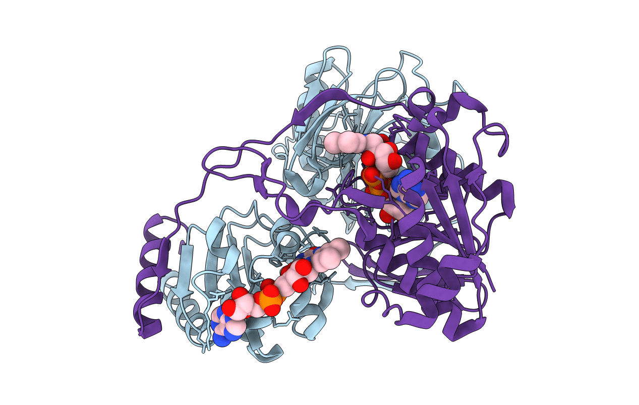 4KPU image