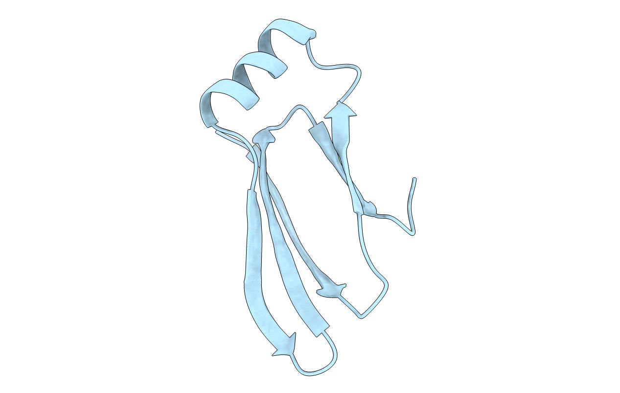 4KRW image