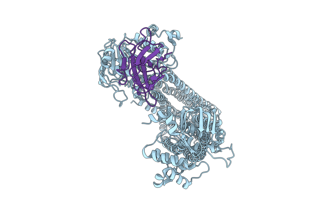 4KSD image