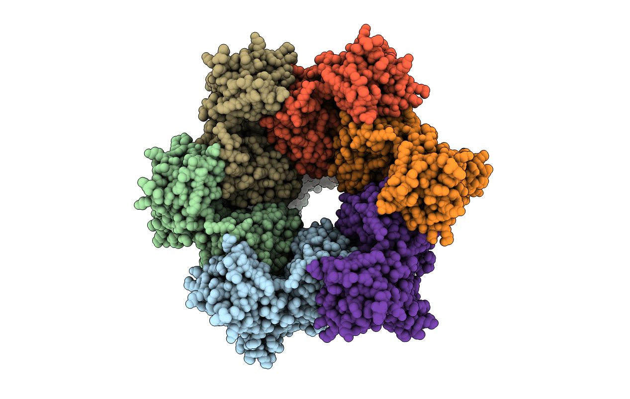 4KSS image