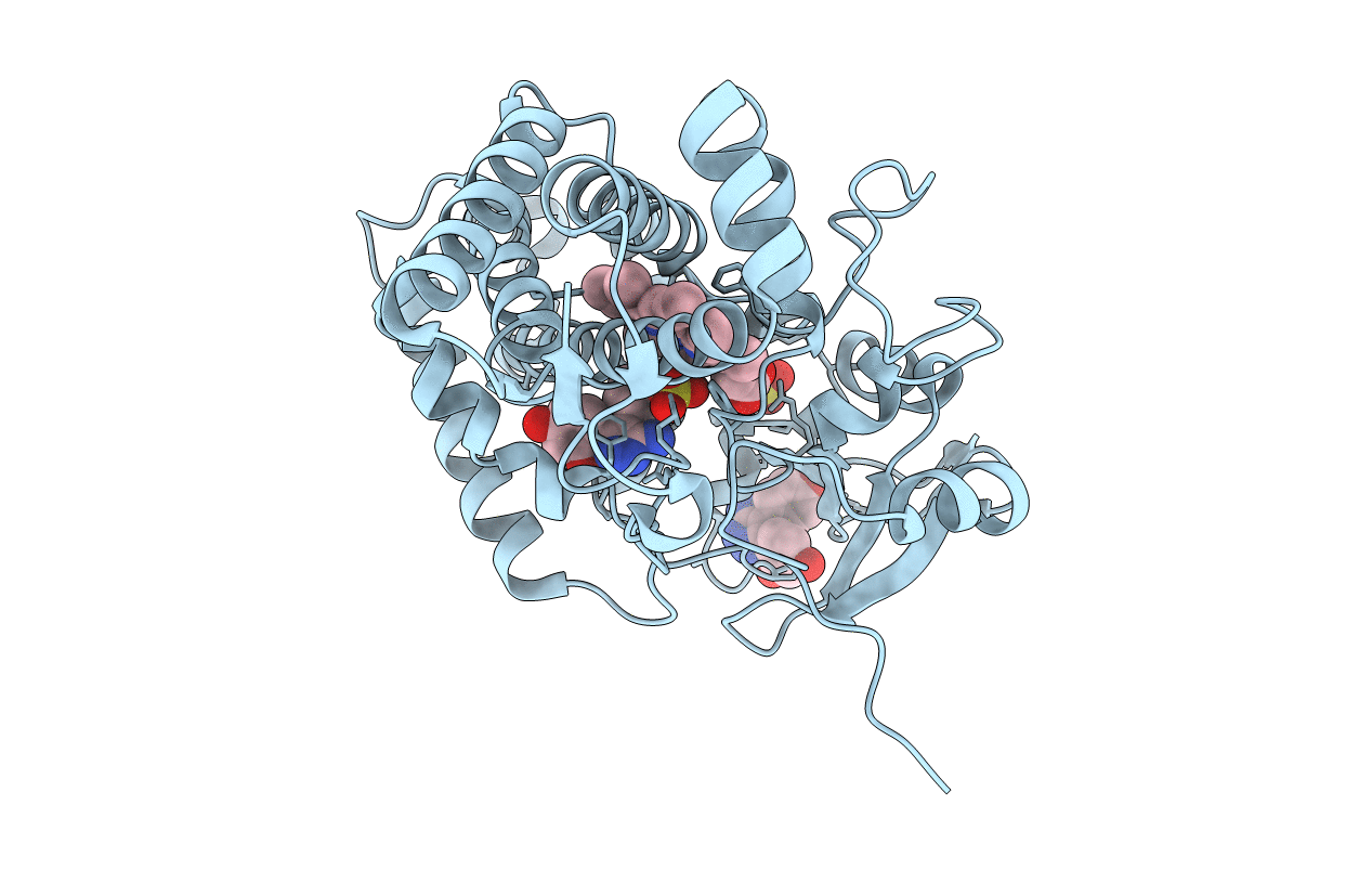 4KTK image