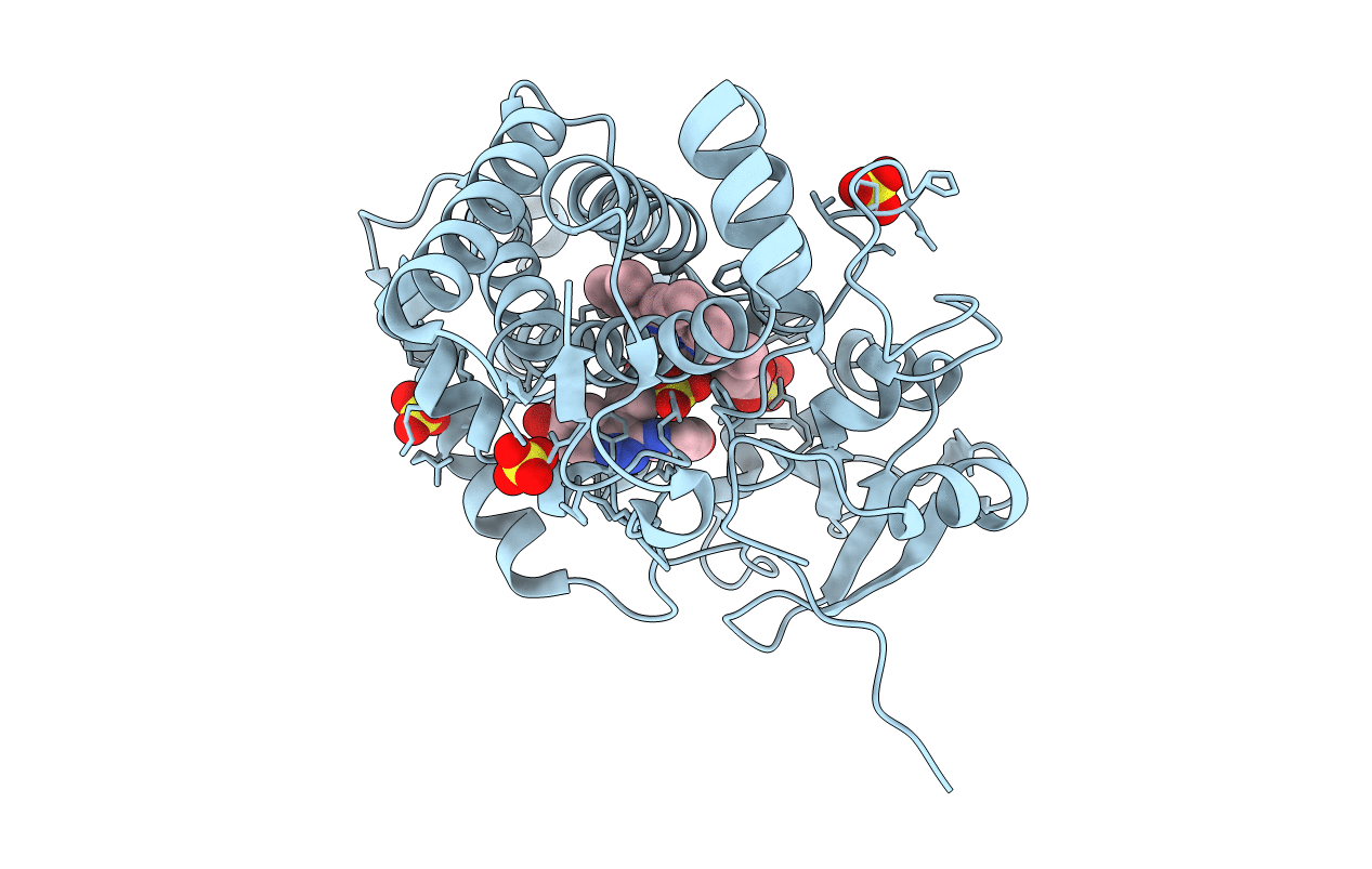 4KTL image