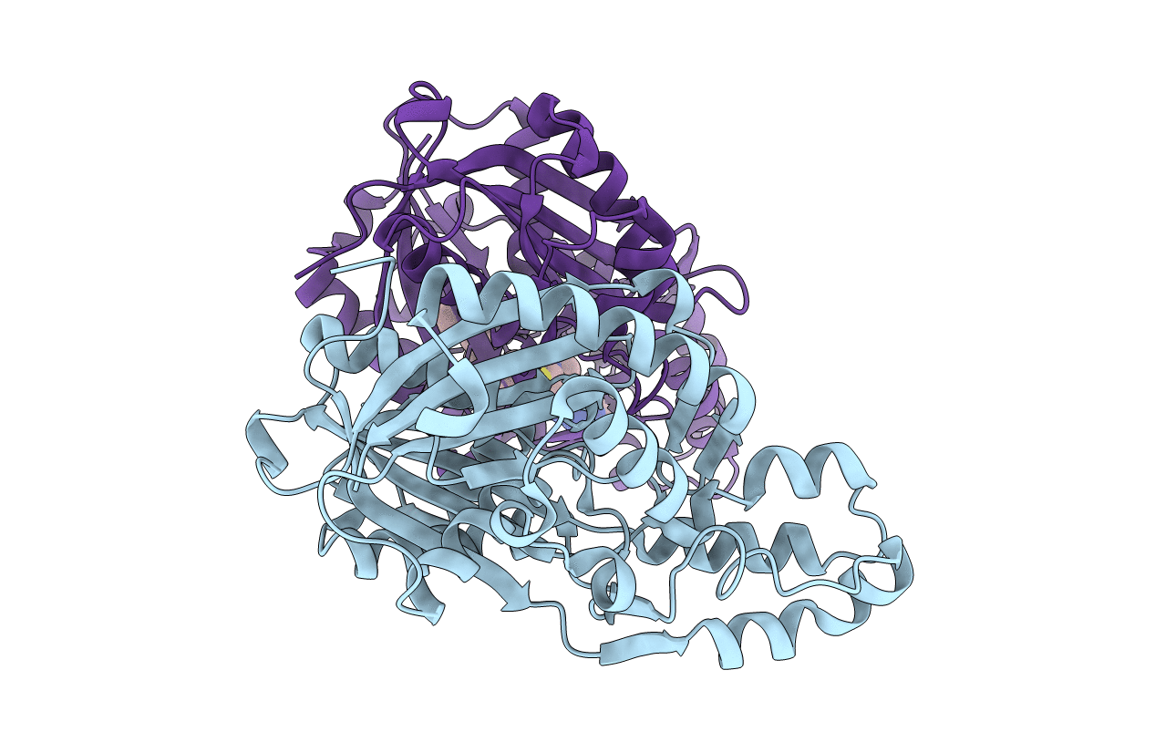 4KU2 image