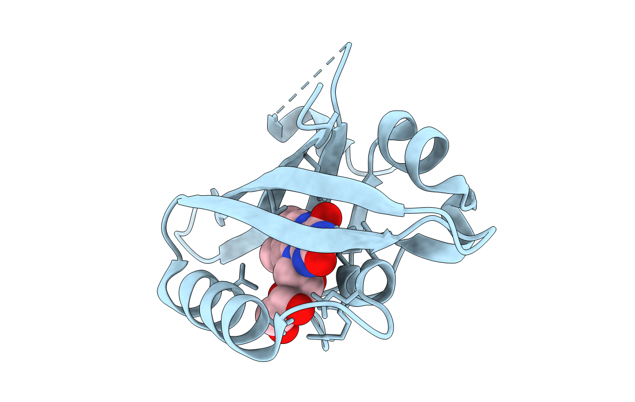 4KUO image