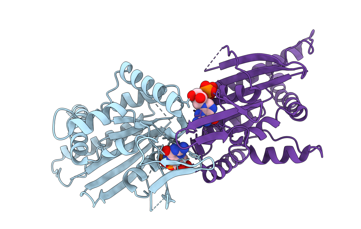 4KV9 image
