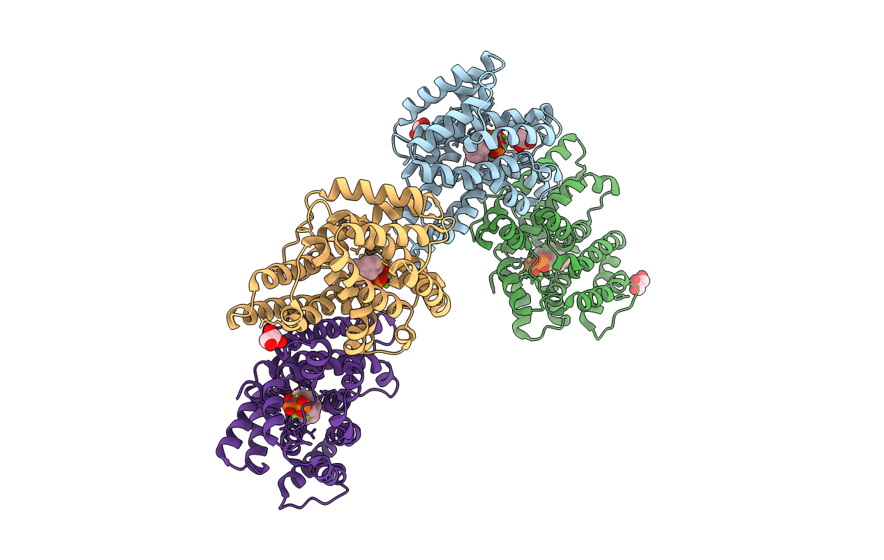 4KVD image