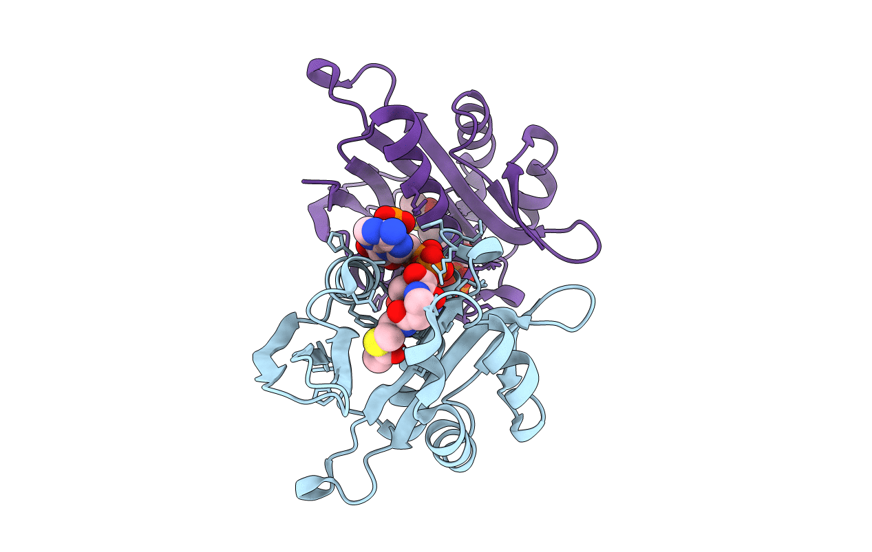 4KVX image