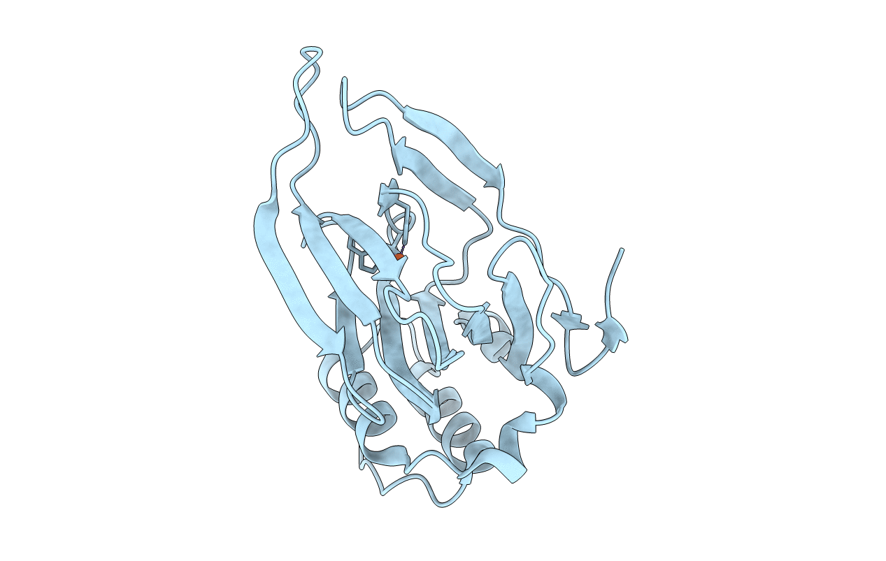4KWJ image