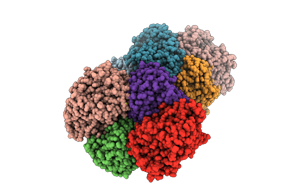 4KWS image