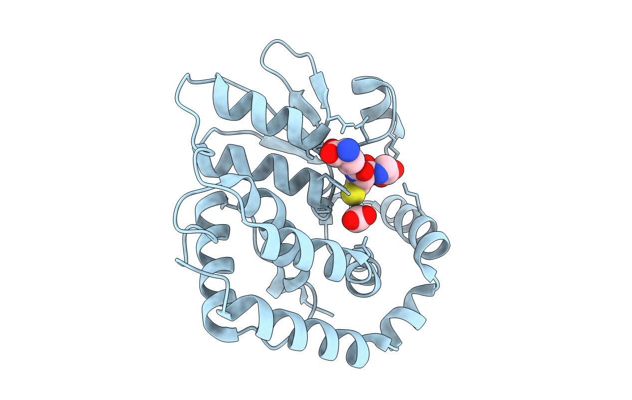 4KX4 image
