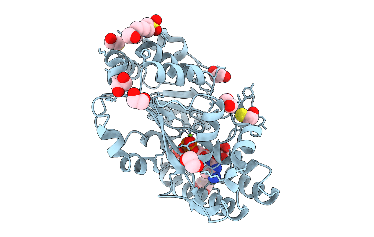 4KX5 image