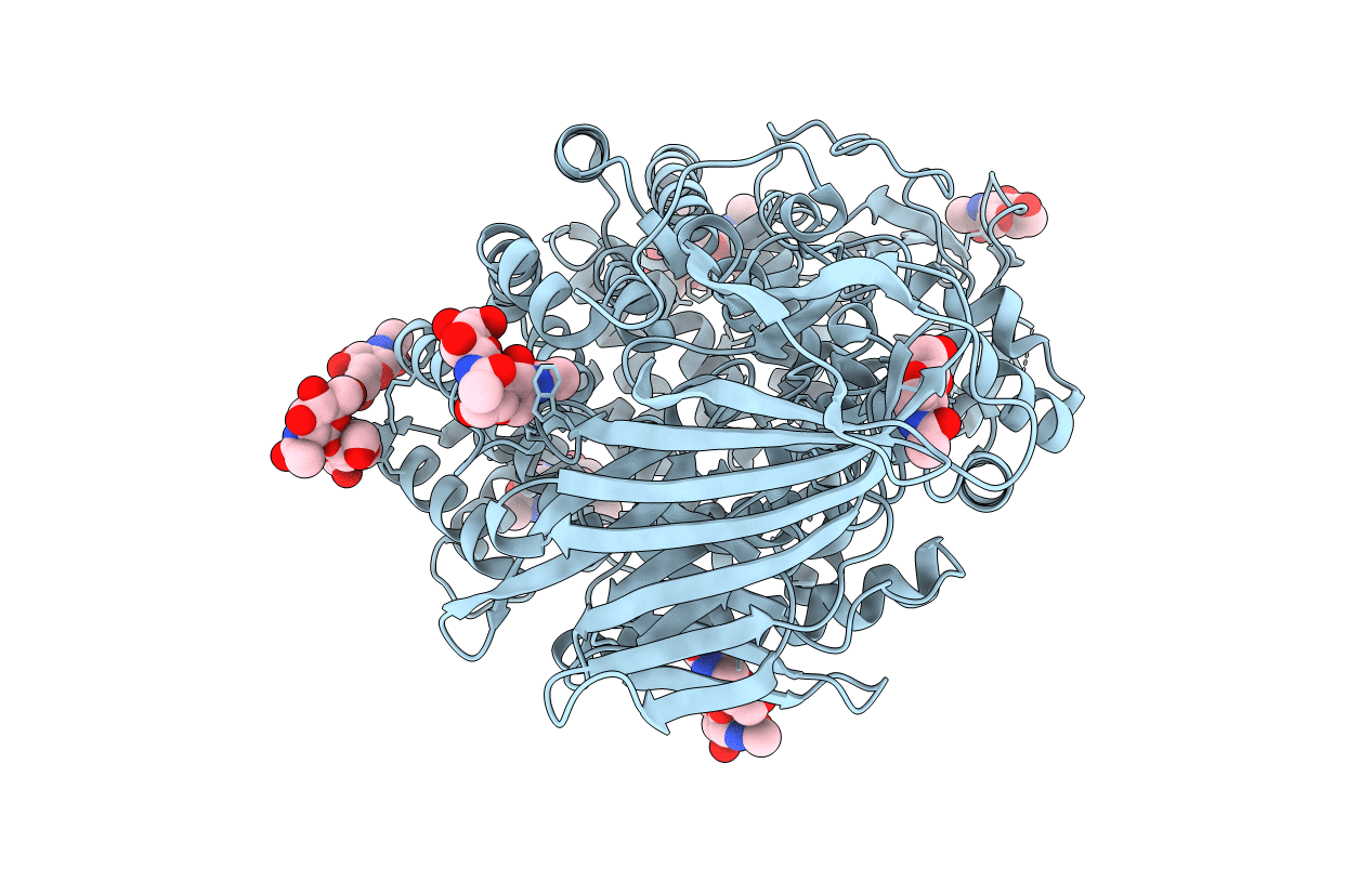 4KX7 image