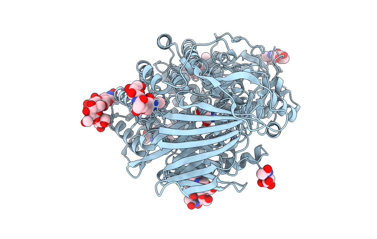 4KXC image