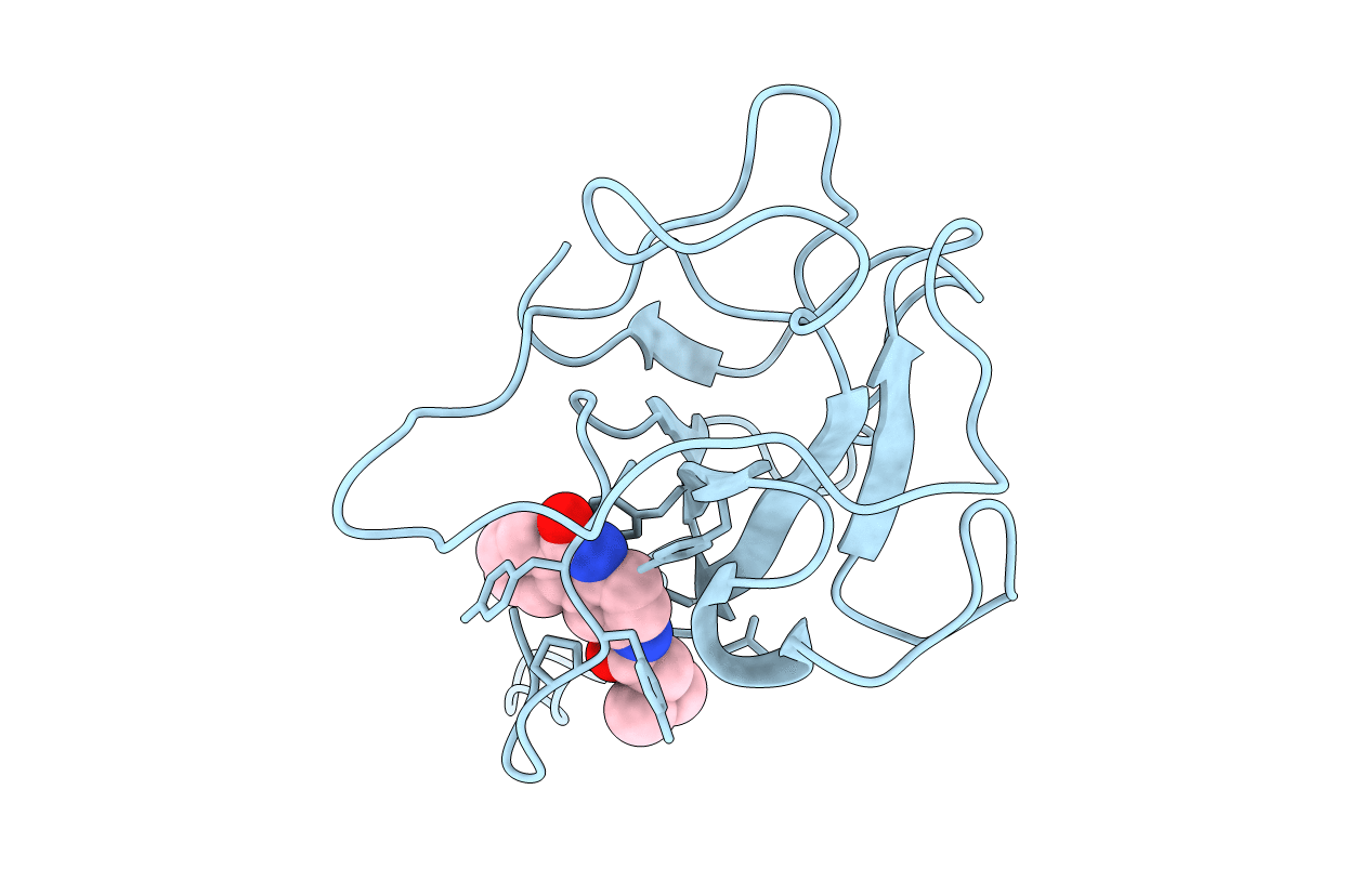 4KXJ image