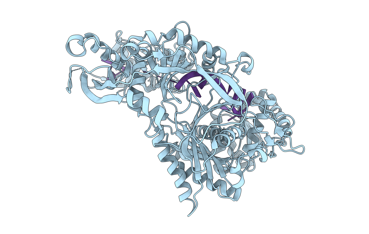 4KXT image