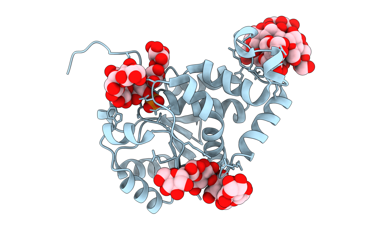4KYR image