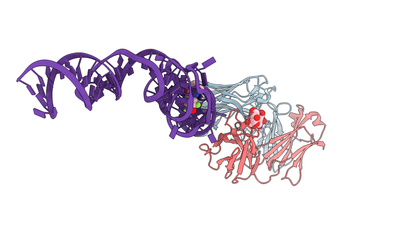 4KZD image
