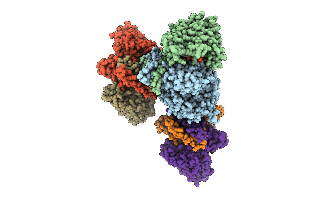 4L04 image