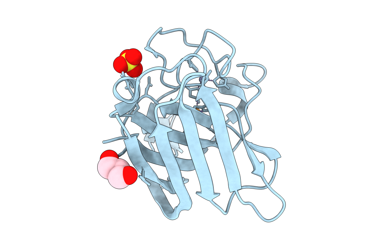 4L05 image