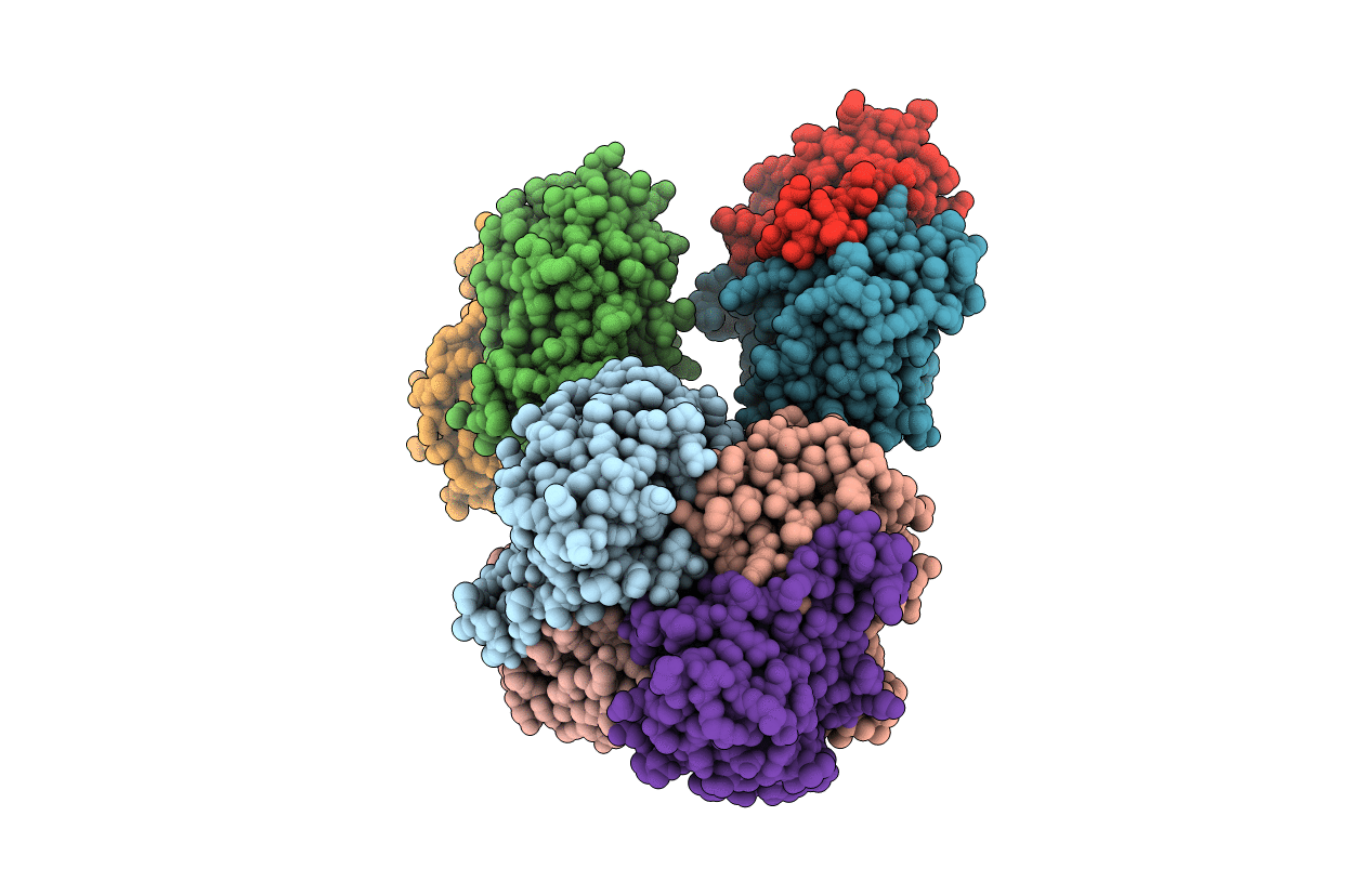 4L08 image