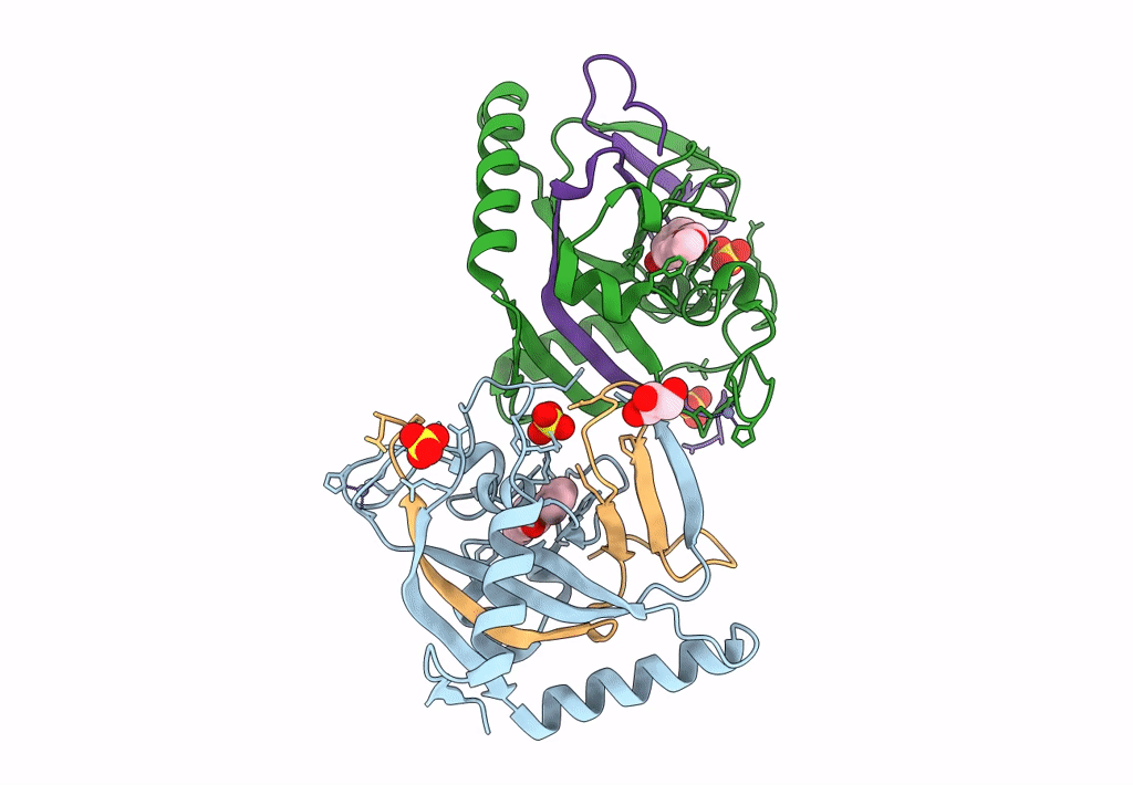 4L10 image