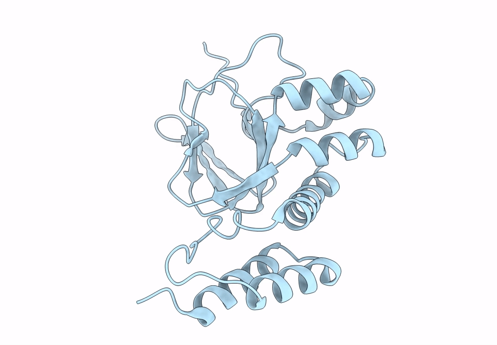 4L11 image
