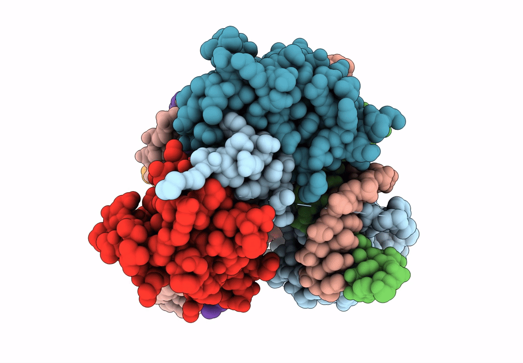 4L18 image