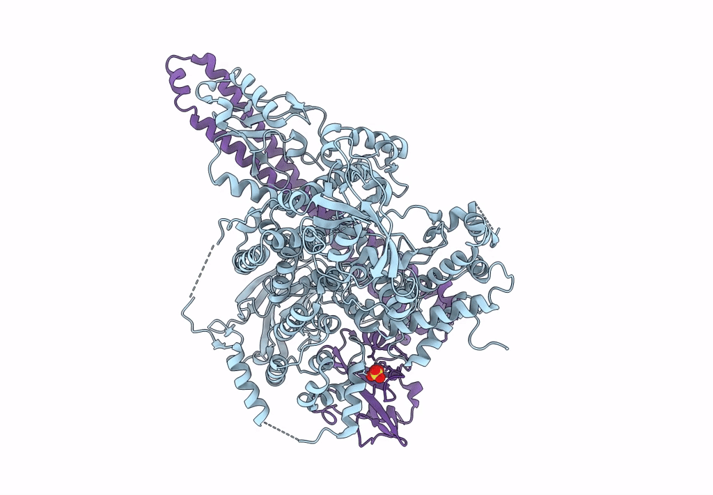 4L1B image