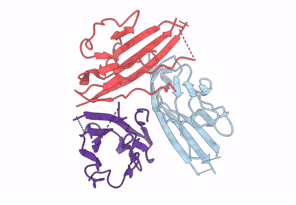 4L1D image