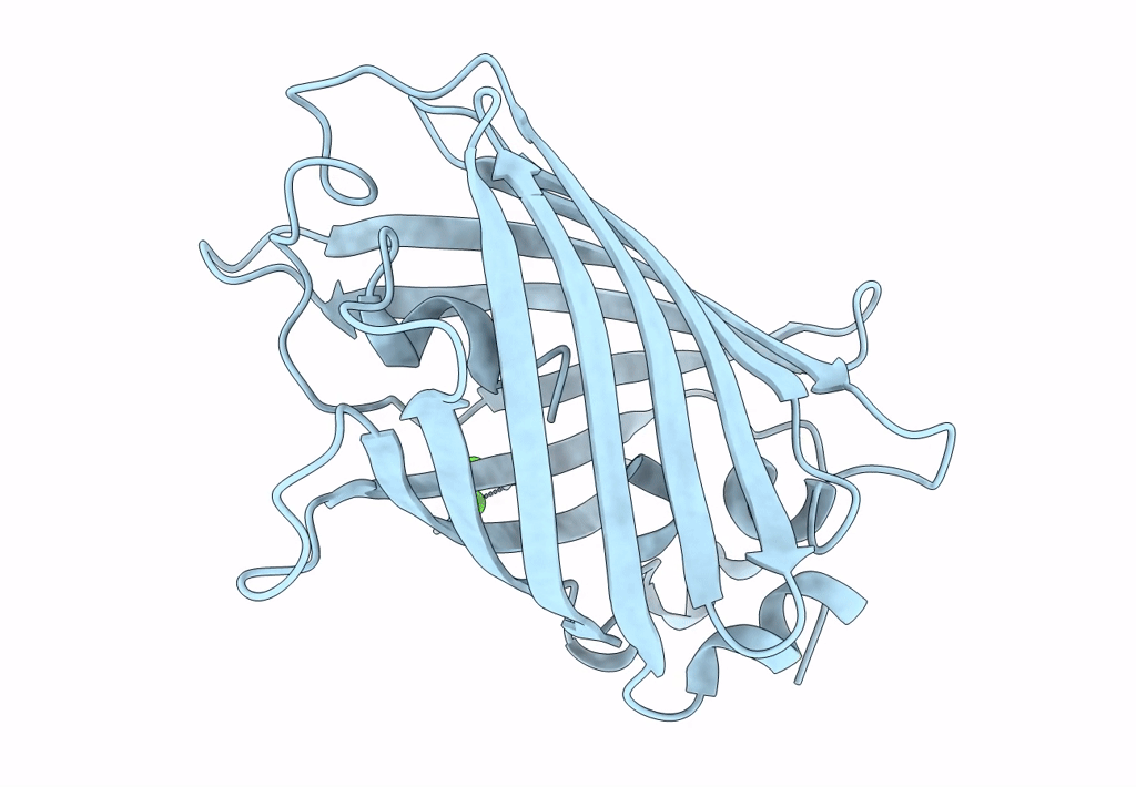 4L1I image