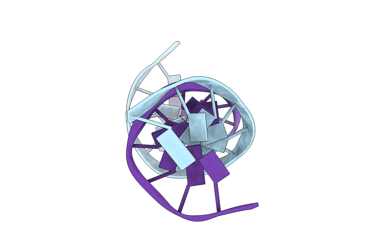 4L24 image
