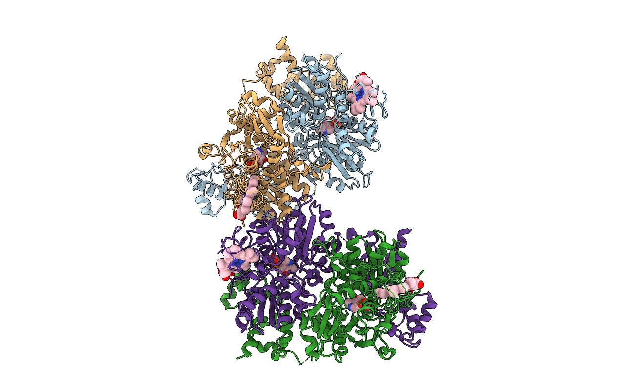 4L27 image