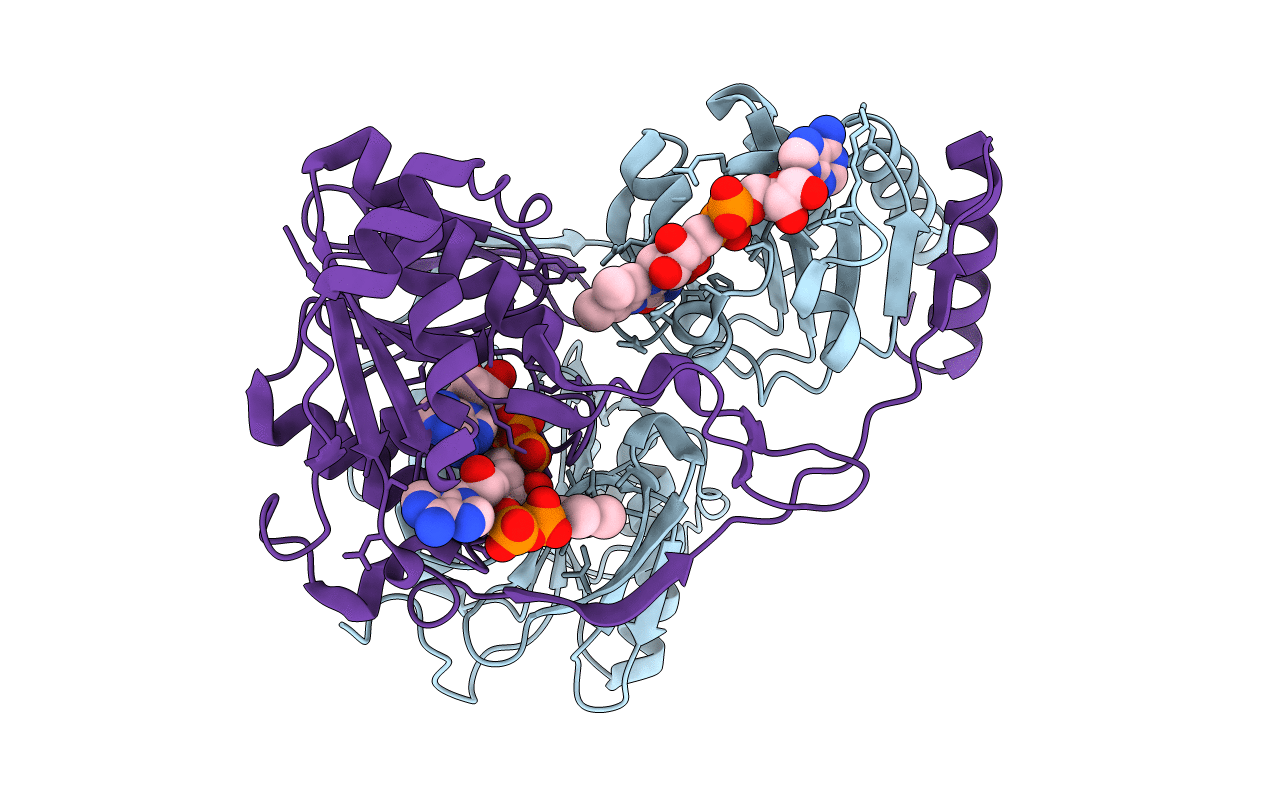 4L2I image
