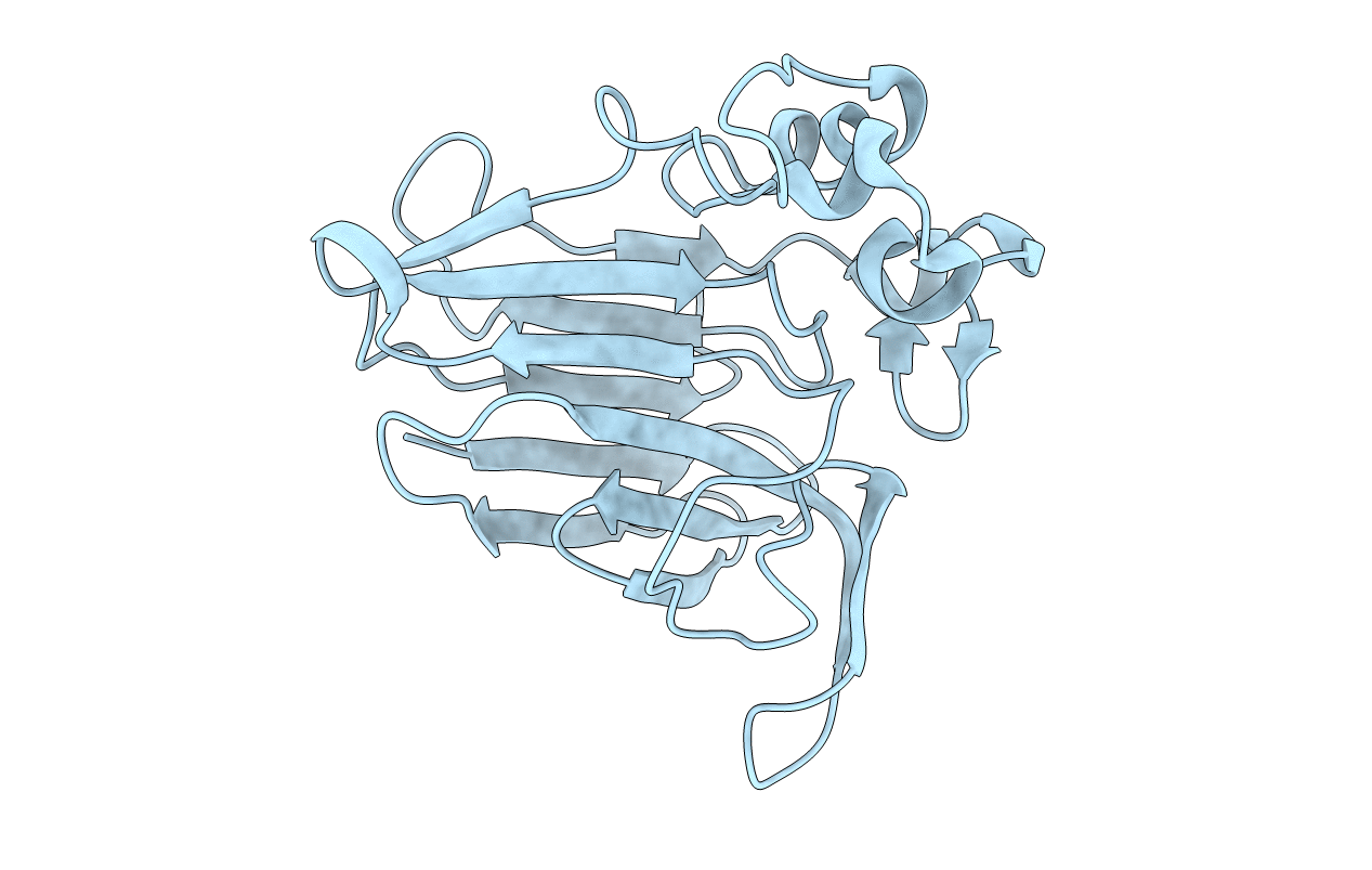 4L2J image