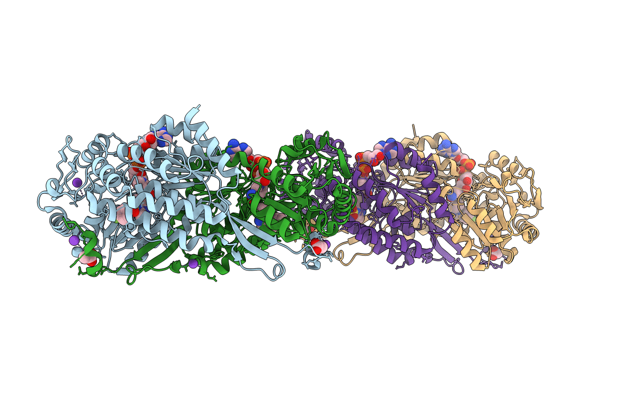 4L2O image