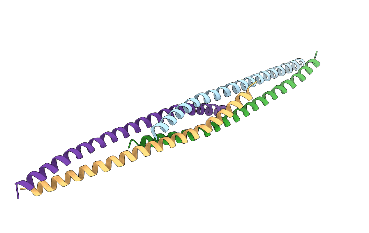 4L2W image