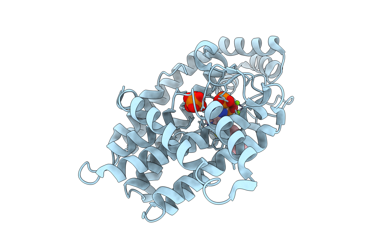 4L2X image