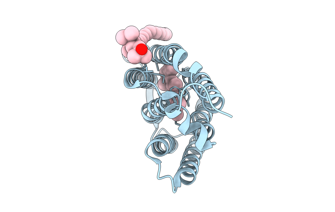 4L35 image