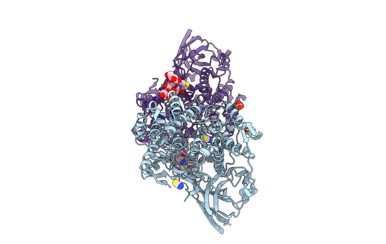 4L37 image