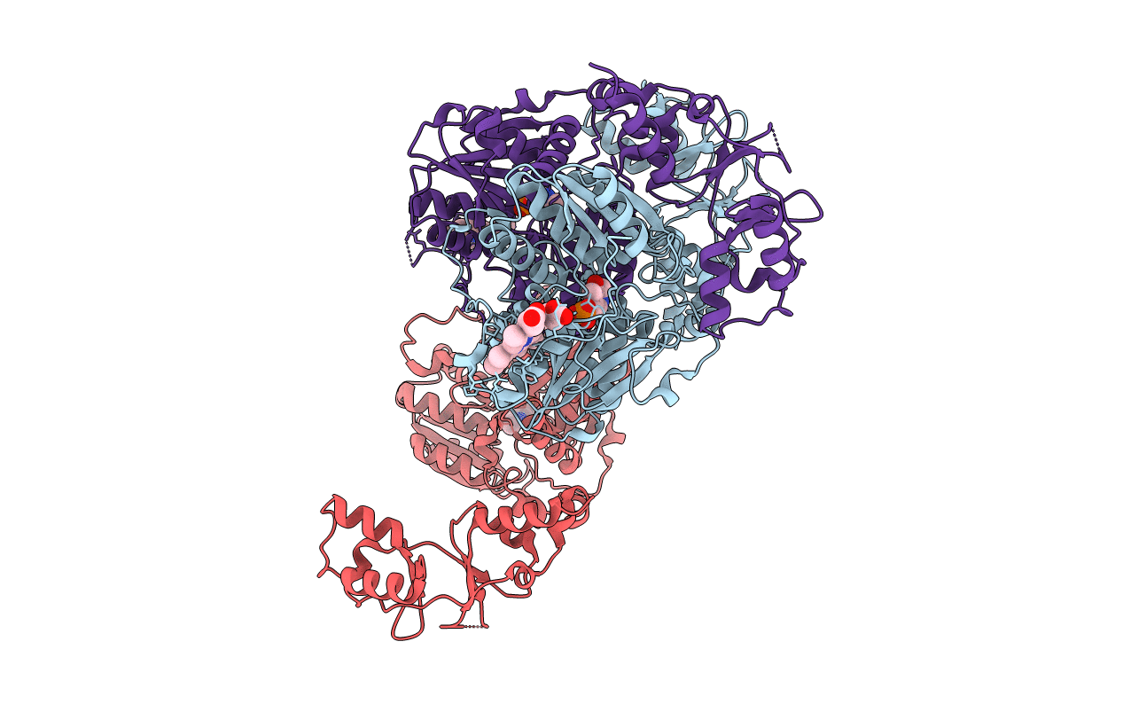4L3V image